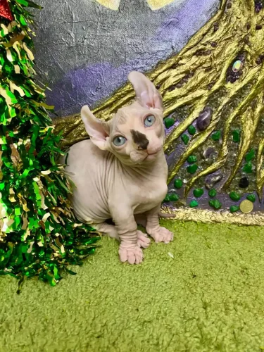 87334C3A-163E-4A40-804B-768B59C5EF15